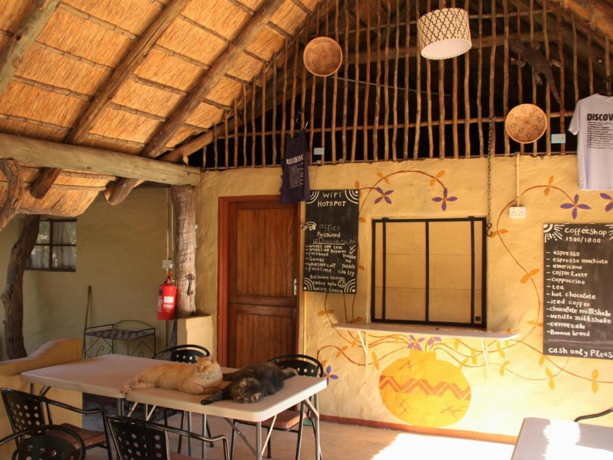 Discovery Bed And Breakfast Maun Exterior foto